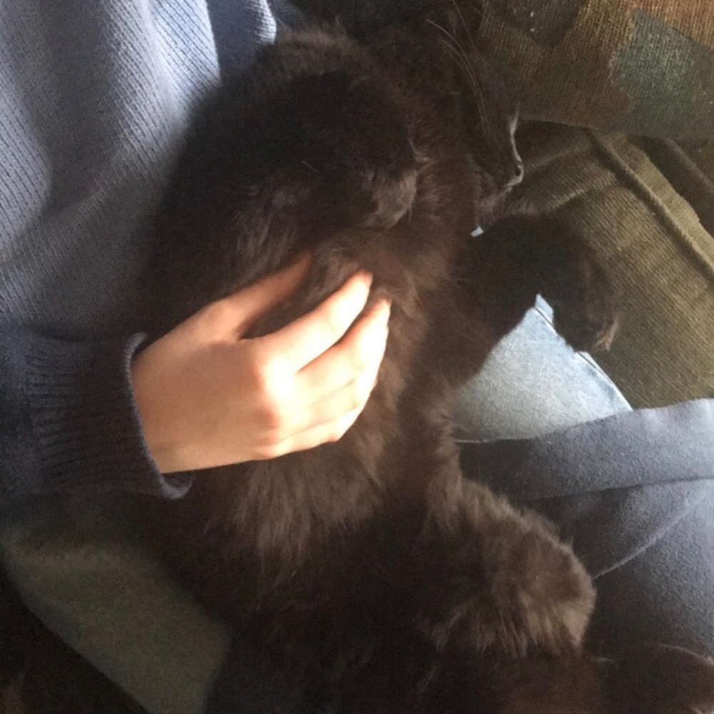 Meet your Posher, Kaylee